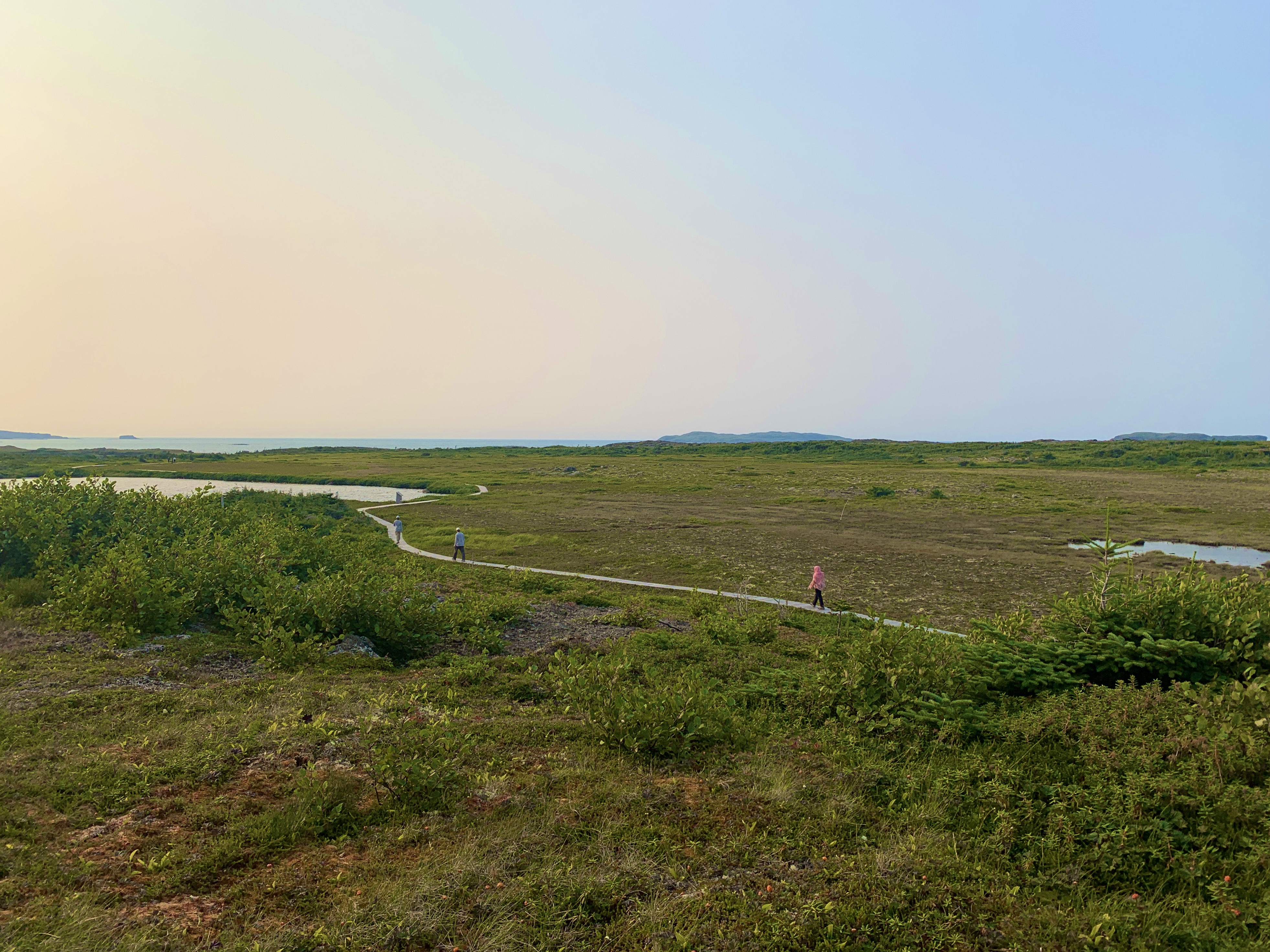 Late Afternoon Walk, L'Anse Aux Meadows