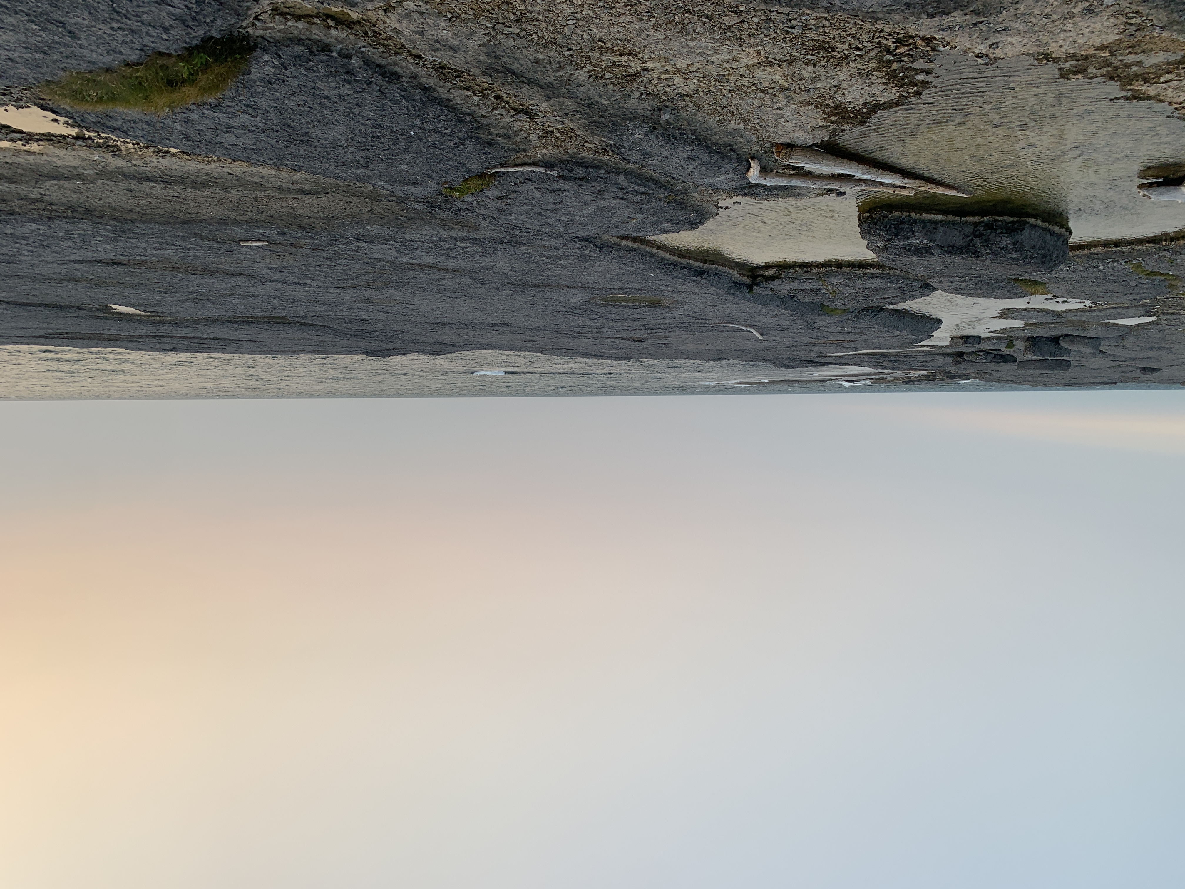 Tidal Pools, Point Riche